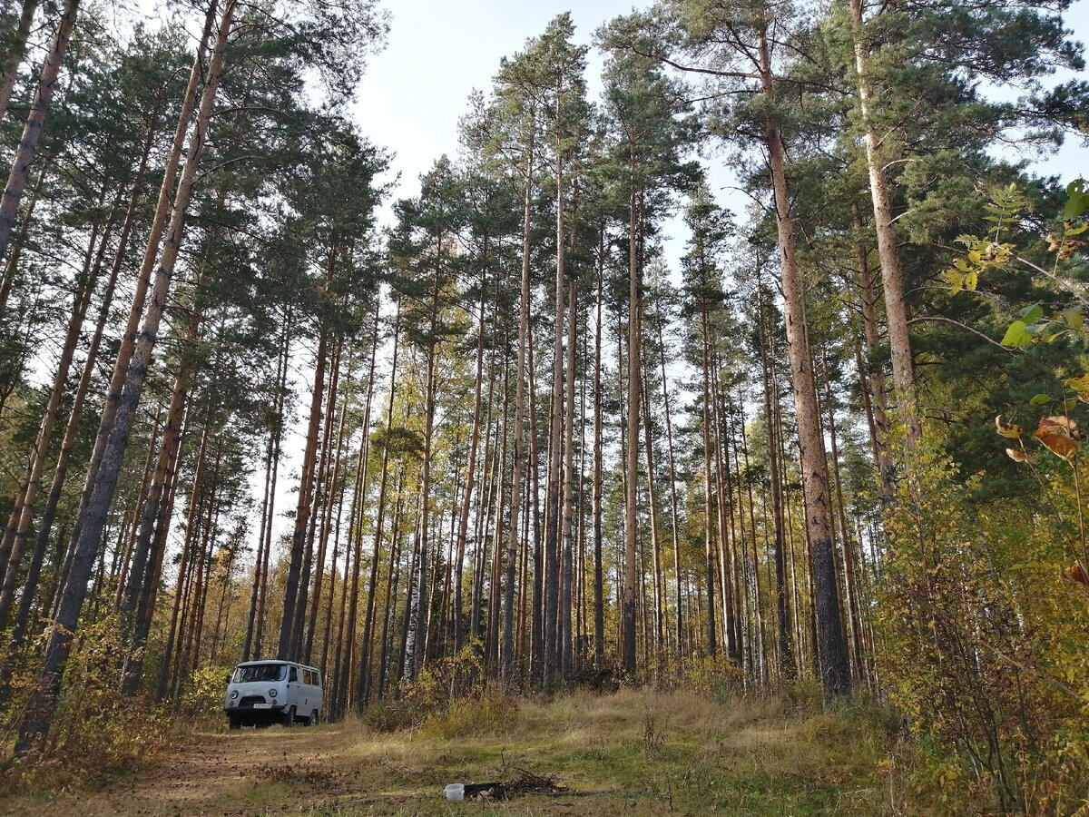 Рассоха иркутская область фото