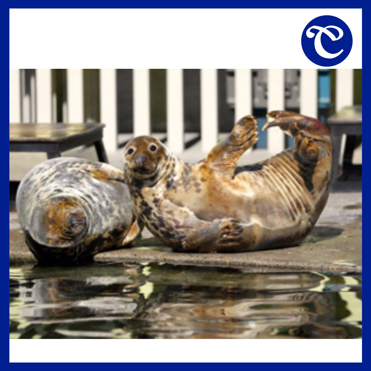 Фото: kudagomoscow.ru