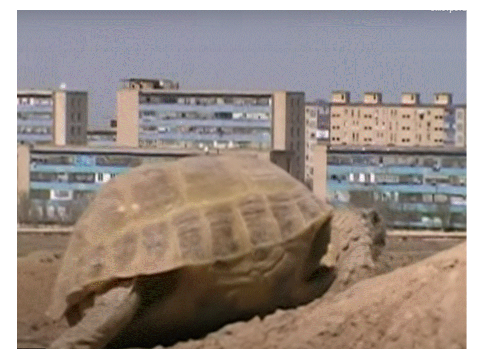       Фото из Интернета. Голубой город из сна