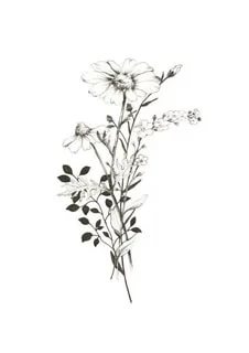 Источник  yandex.ru 