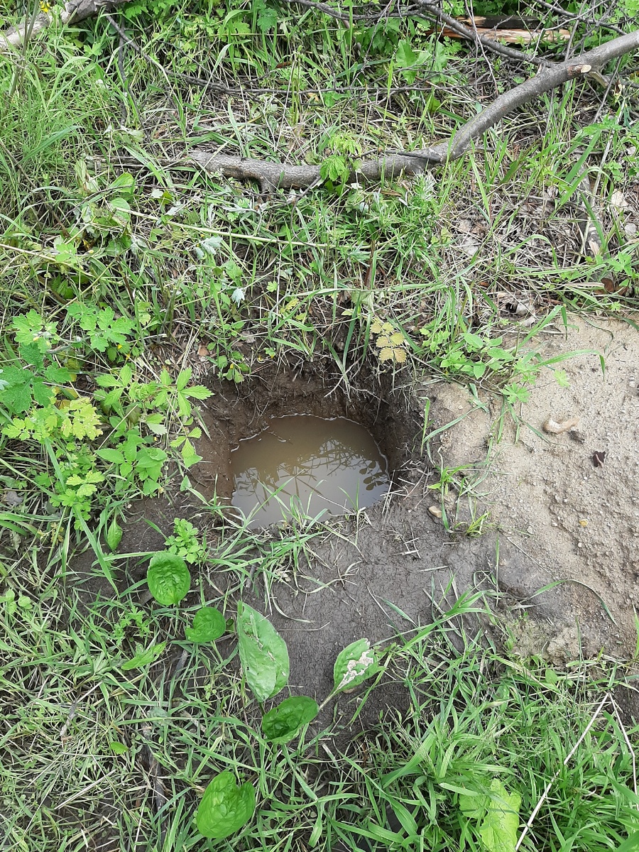 Канавы, залитые водой. Изображение принадлежит каналу.