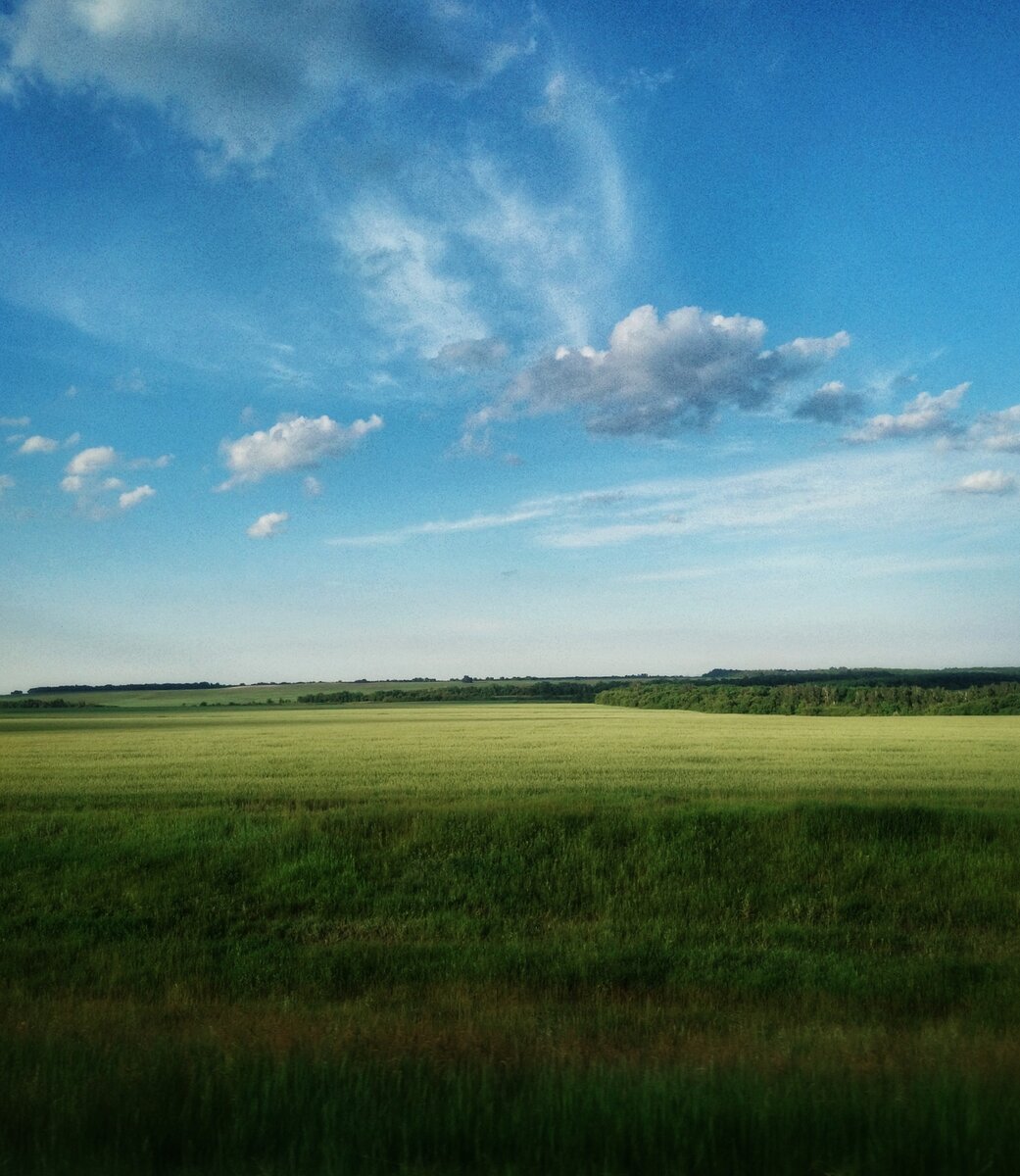 Где-то под Суздалью