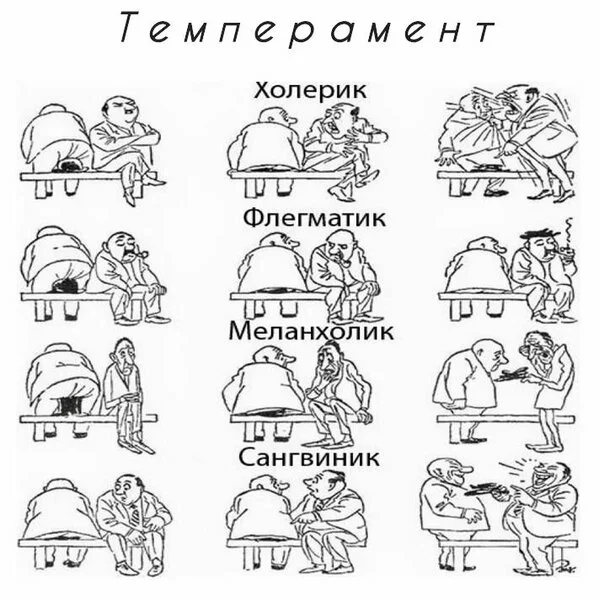 4 вида темперамента иногда люди могут содержать в себе 2 вида сразу и это нормально.