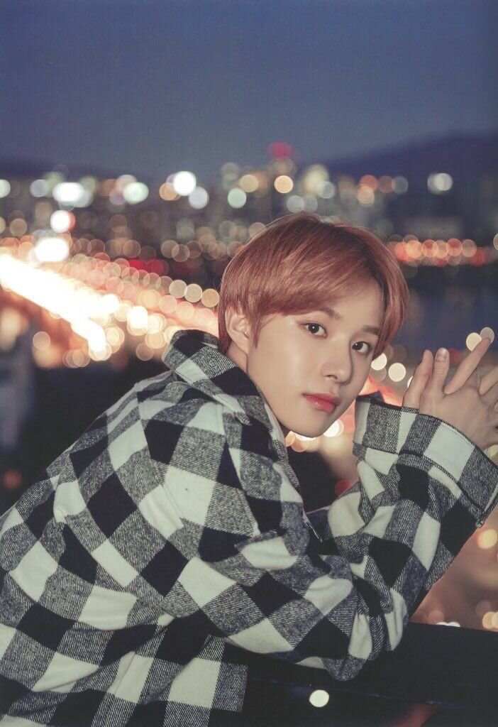 Яндекс картинки 