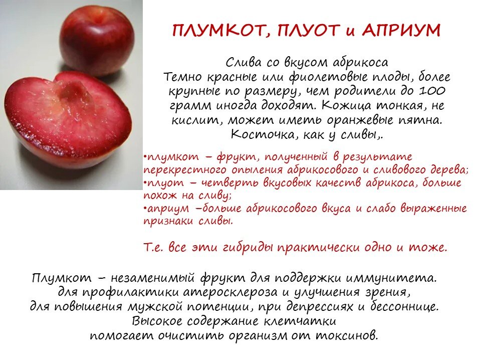 Картинки на слайдах моей презентации взяты из открытого доступа