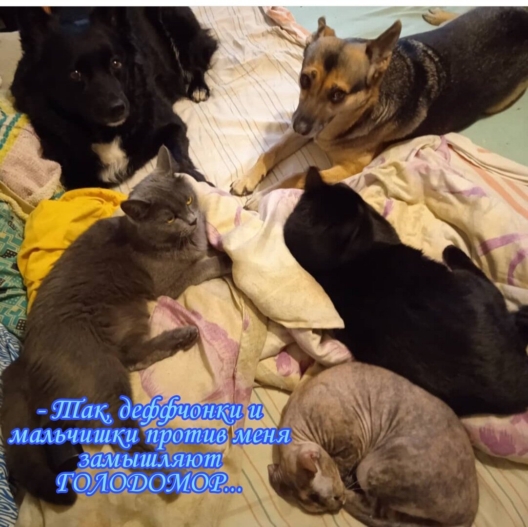 Против меня - ЗАГОВОР, помогайте, а то потом и вам устроят.