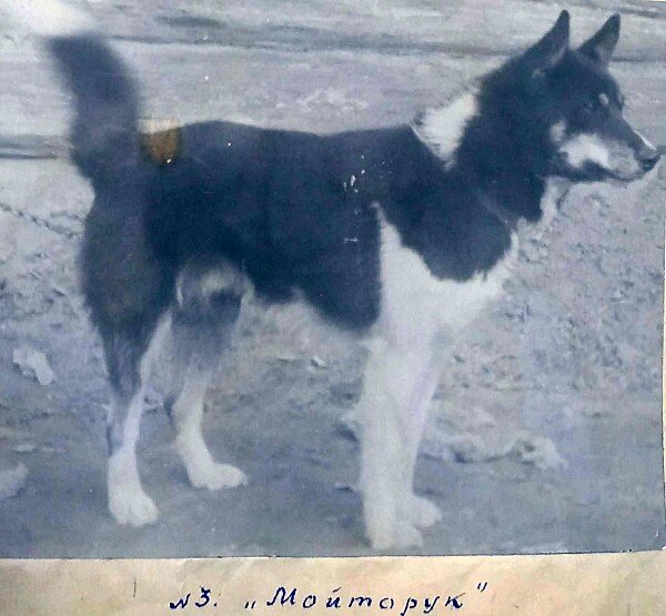 из старого альбома