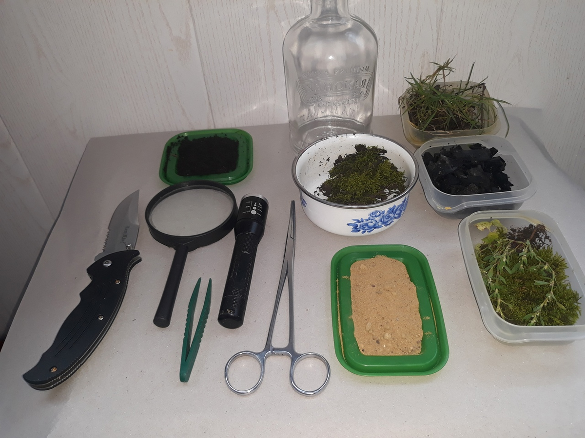 разложили ингредиенты