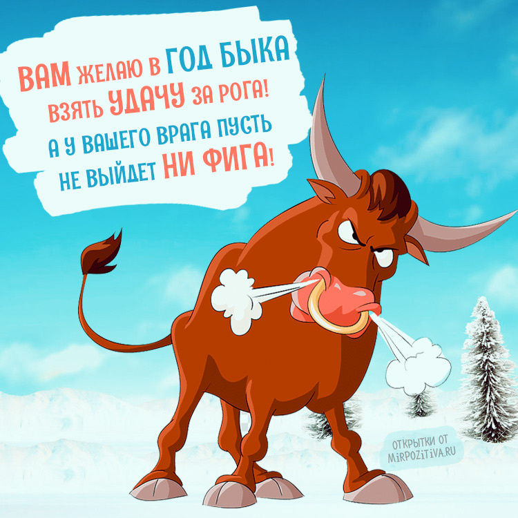 Картинка с интернета