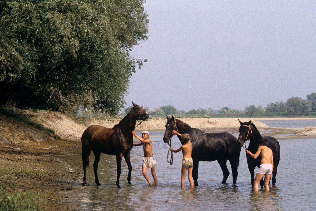 Яндекс.Картинки