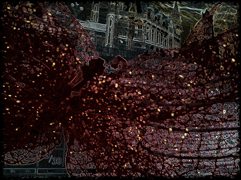 Изображение взято с сайта Flickr.com
