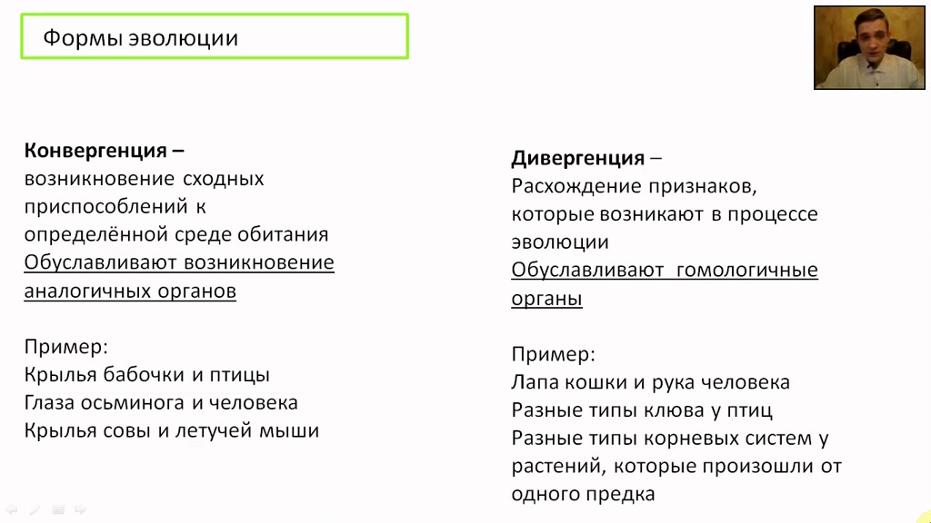 Дивергенция биология