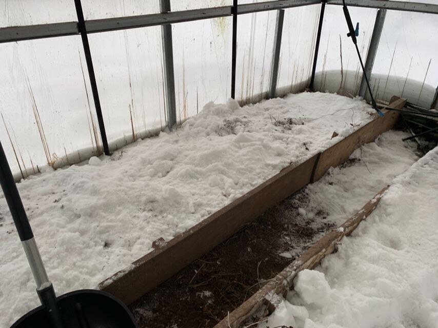 Вот так накидываю снег на тепличные грядки 