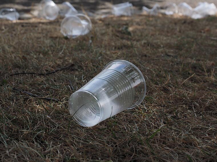 Выброшенный пластиковый стаканчик будет разлагаться более 500 лет