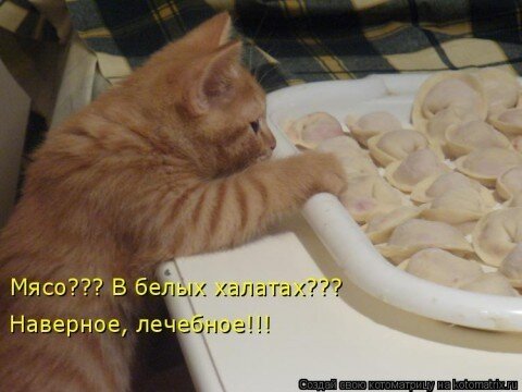 Фото из свободного доступа