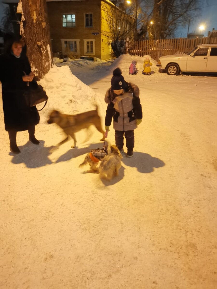 заснять передвижение этих метеоров очень сложно