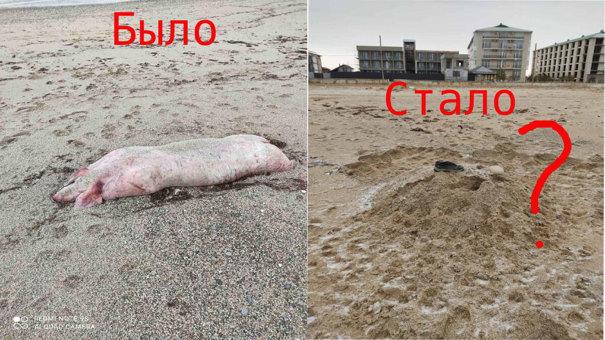 фото из социальных сетей