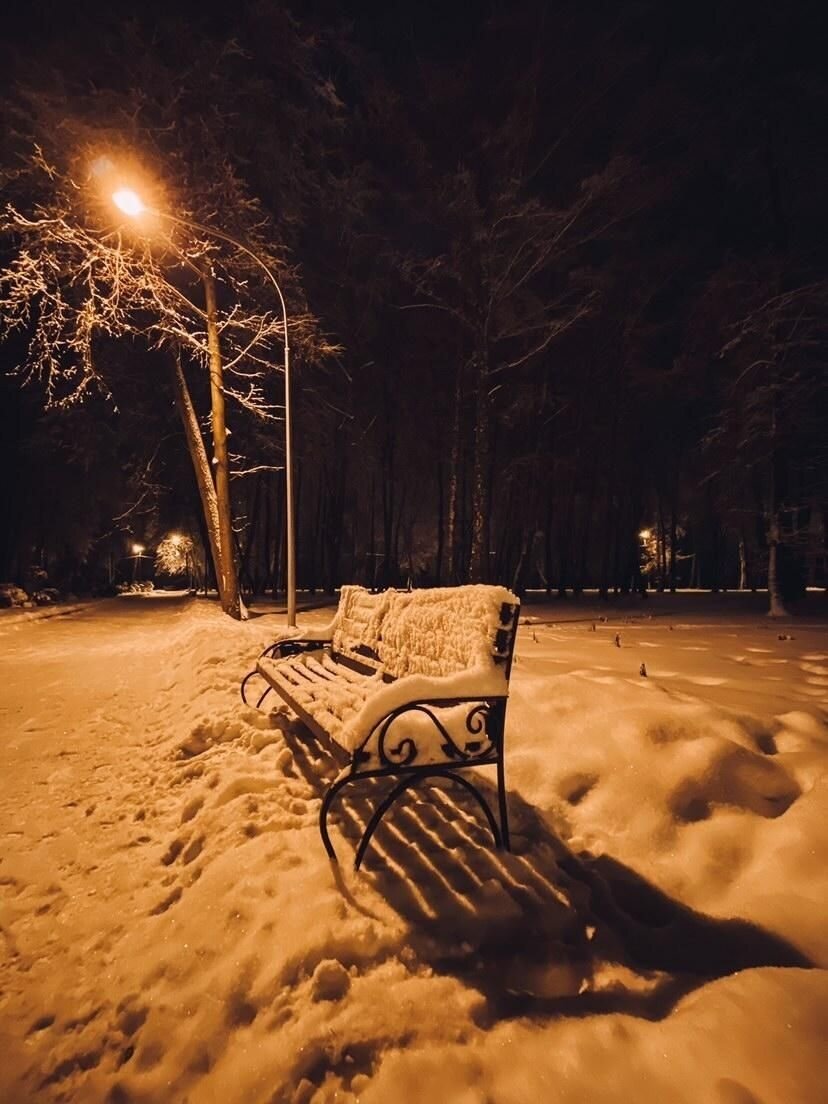 Фото из интернета. 