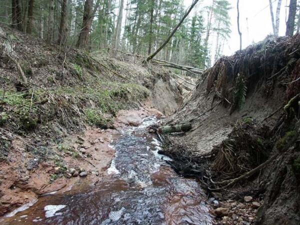 Это Москва-река в Можайском районе Московской области.  Ме стами ее можно перепрыгнуть. Фото из открытых источников.