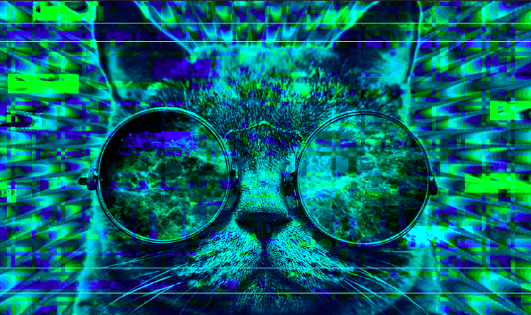 Предположительно, кот. 