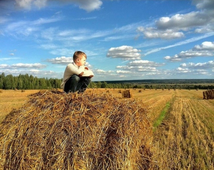 По грибы опять катались...