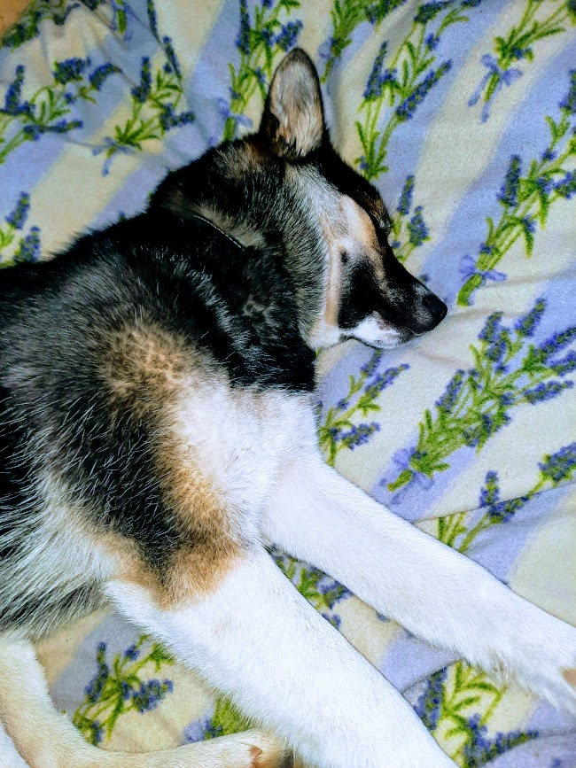 Утомилась... Или угомонилась....