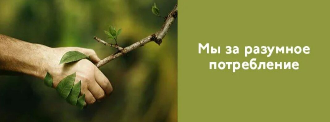Ответственное потребление картинки