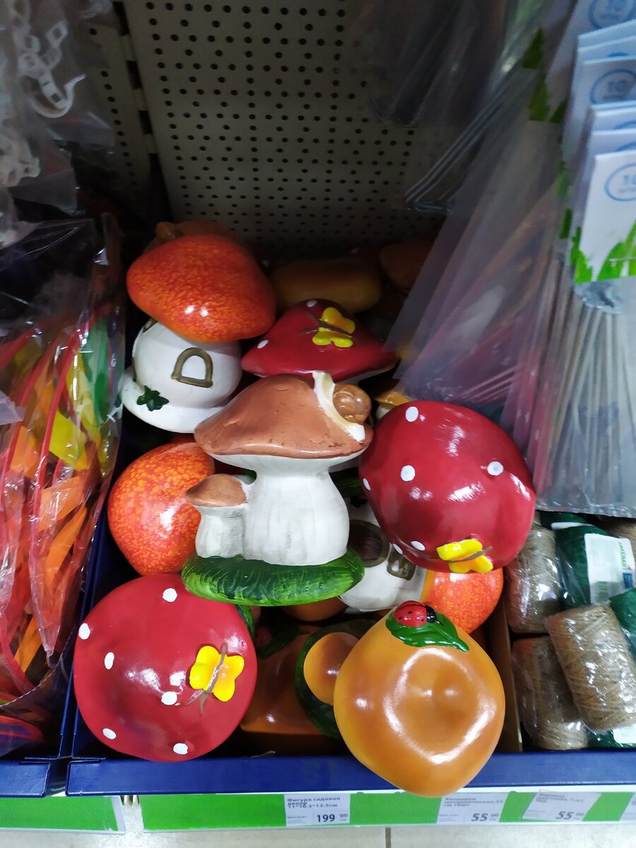 Ну, есть желающие отправиться в "Фикс Прайс" по грибы? ))