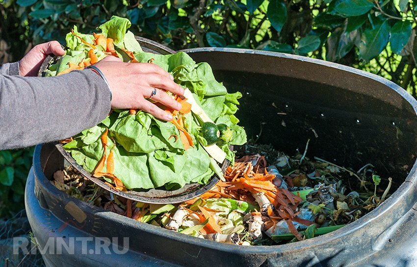 Что можно класть в компост: правила и компоненты