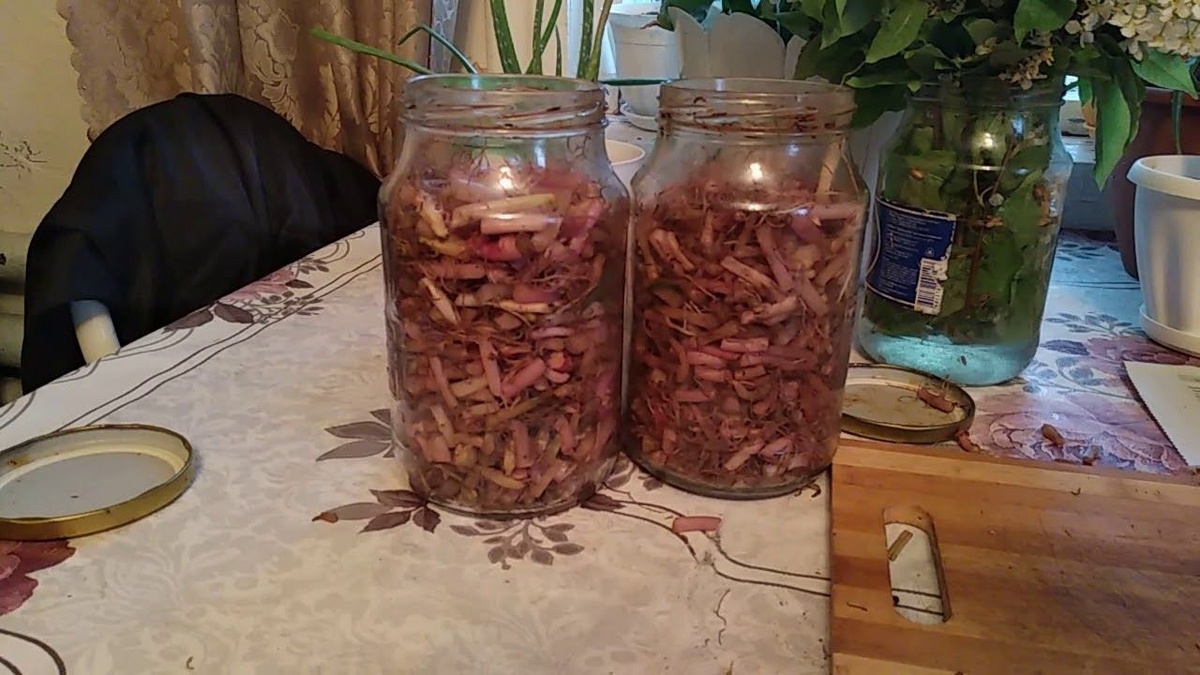 Благодаря такому простому и доступному настою, который является мощным органическим стимулятором роста для растений, вы вряд ли в следующий раз выбросите ростки проросшего картофеля, которые богаты гормонами роста.
Всем обильных урожаев!