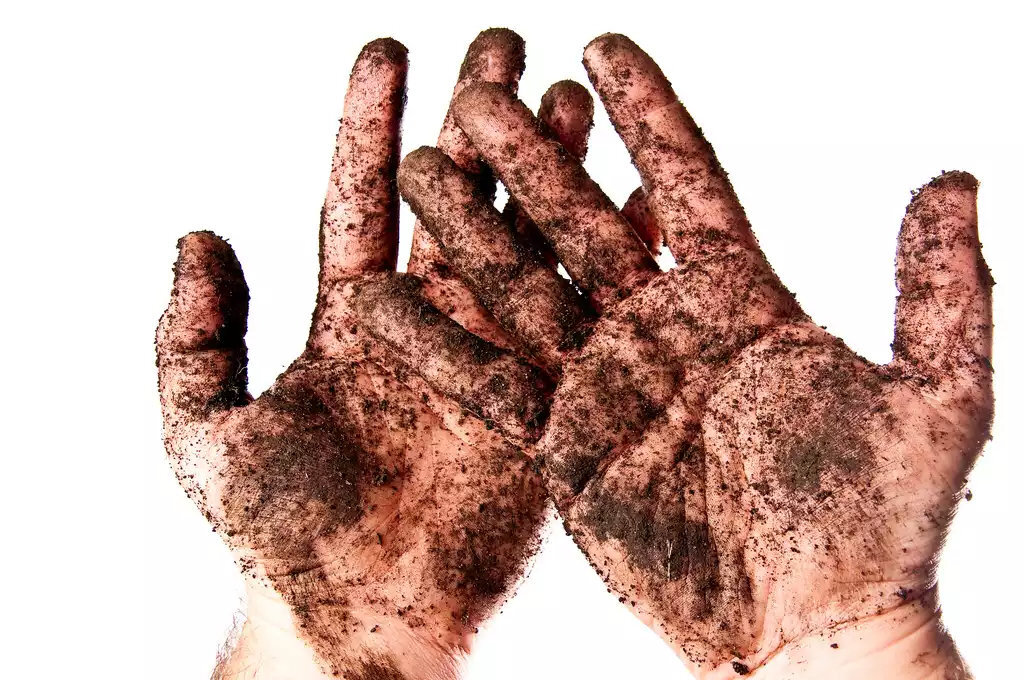 Руки после работы в огороде. Фото взято в свободном доступе.