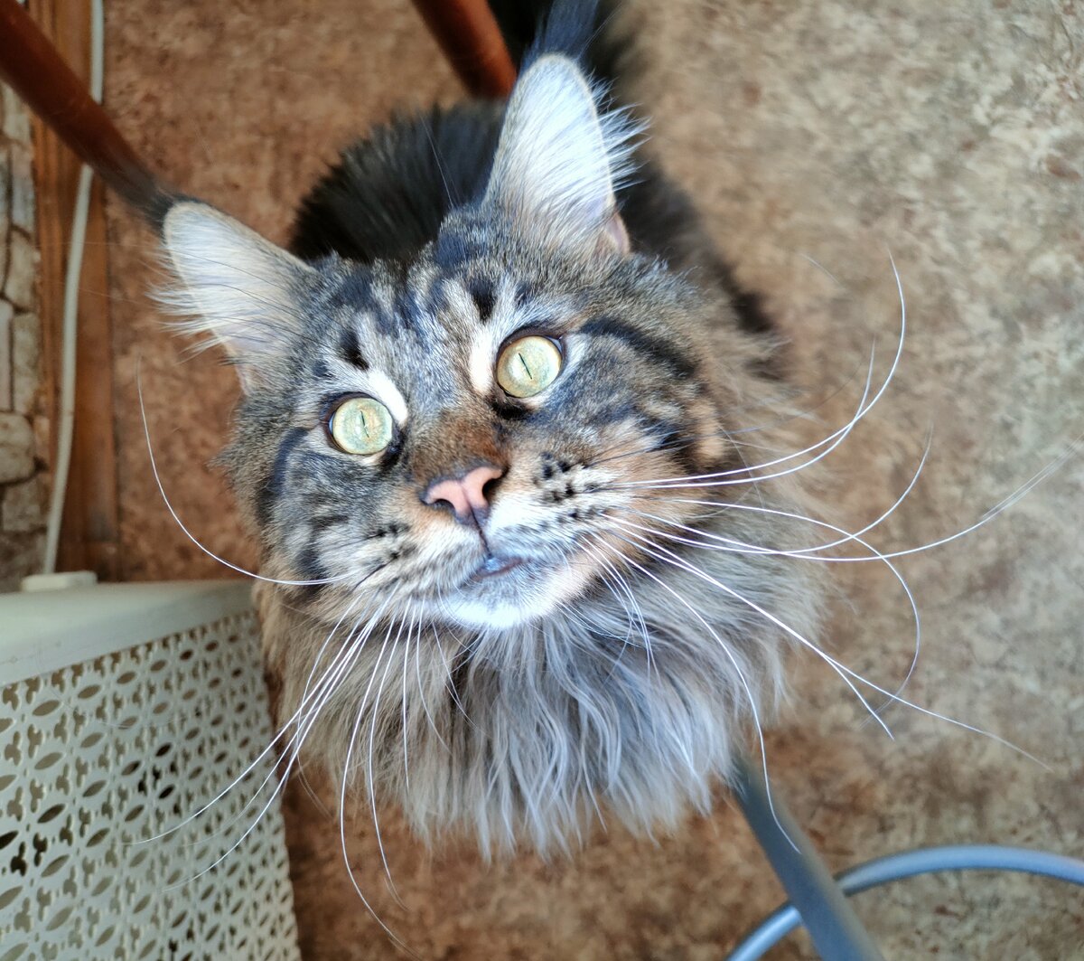 Что-то вкусненькое? 😳