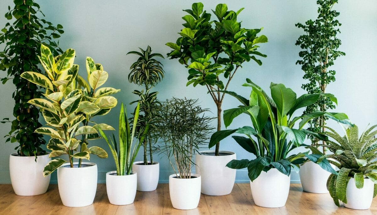 Картинка из свободного доступа