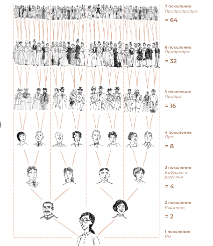Иллюстрация из книги "История тебя. Восстанови родословную с  ХVII века". Семейное древо человека содержит 126 прямых предшественников в 6 поколениях.
