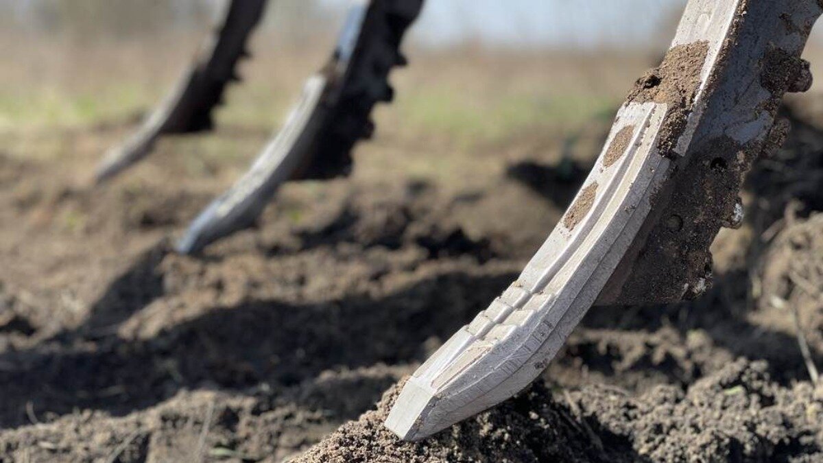 Фото: Портал agropolska.pl Новые универсальные усиленные долота Unia Durum для культиваторов
