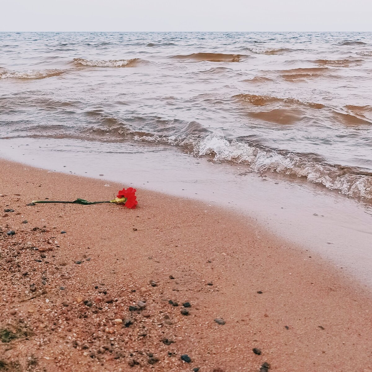 Как дань памяти к событиям прошлого, на берегу озера люди оставляют гвоздики