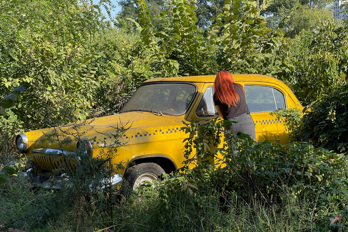 Гуляли в промзоне и наткнулись на брошенные автомобили, среди которых  нашлась раритетная «Волга» в хорошем состоянии | ComDig | Urban Exploration  | Дзен