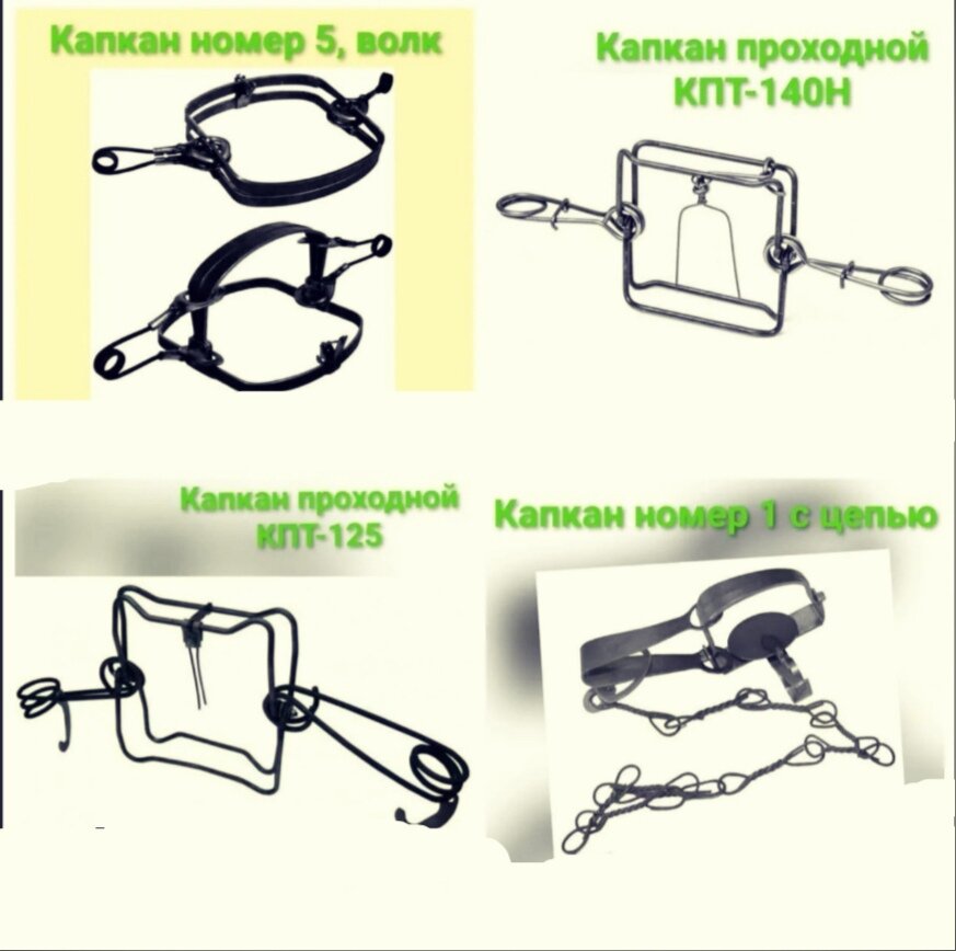 Капкан проходной гуманный КА-2 (ДКА) (капкан давящий Агафонова)