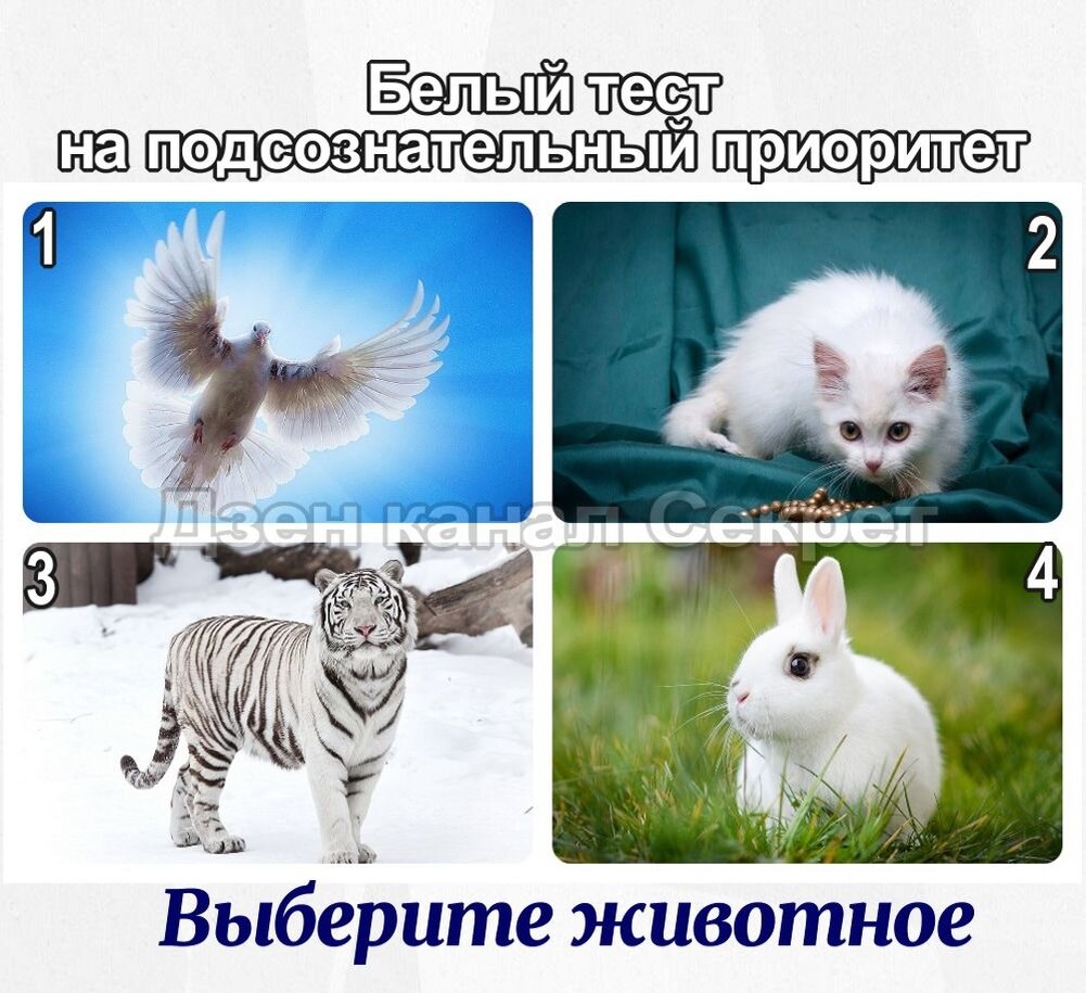 Белый тест на подсознательный приоритет - Выберите животное