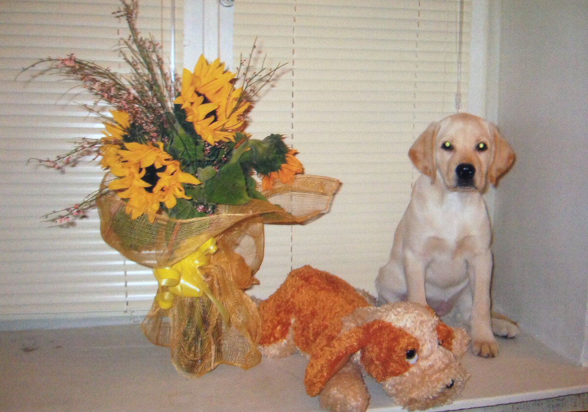 Лучшего подарка на 8 марта в моей жизни, наверное, не было