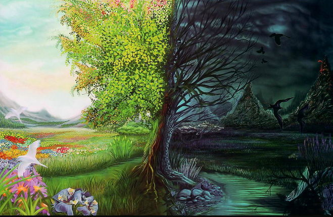 Разберём Тёмный и Светлый путь развития ,как взаимодополняющие друг друга. Поймите меня правильно, это не значит ,что нужно изучать другой путь, нет, это означает, что имеет место быть другому пути, и не стоит этим пренебрегать, но и напрягаться тоже нет смысла.