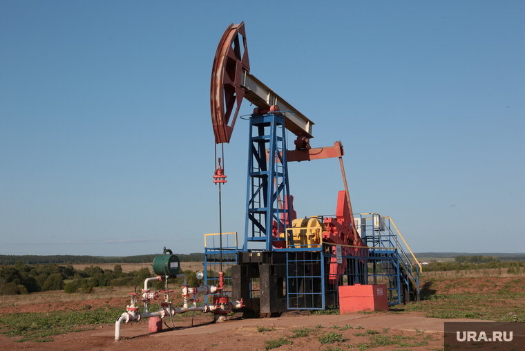    По мнению экономиста, санкции против нефти РФ «погибли в зародыше»