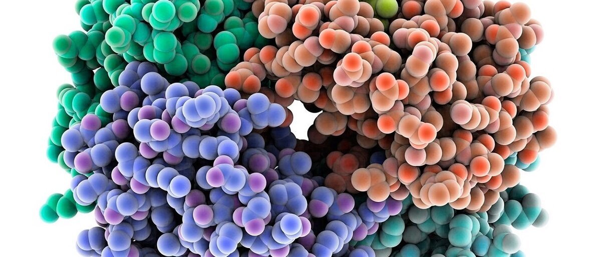 Добавьте описание