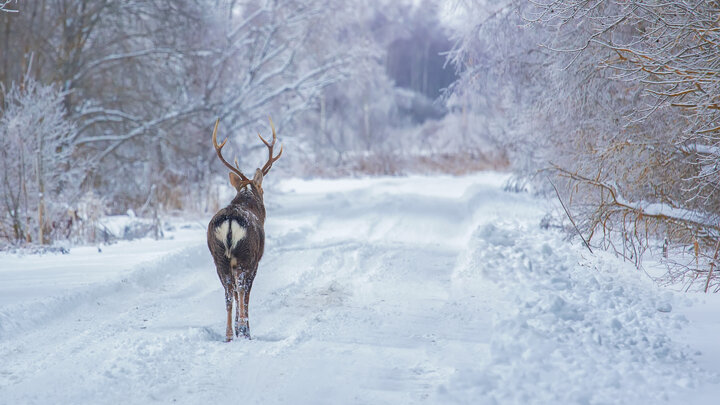 ALEXANDER NOVIKOV/GLOBALLOOKPRESS