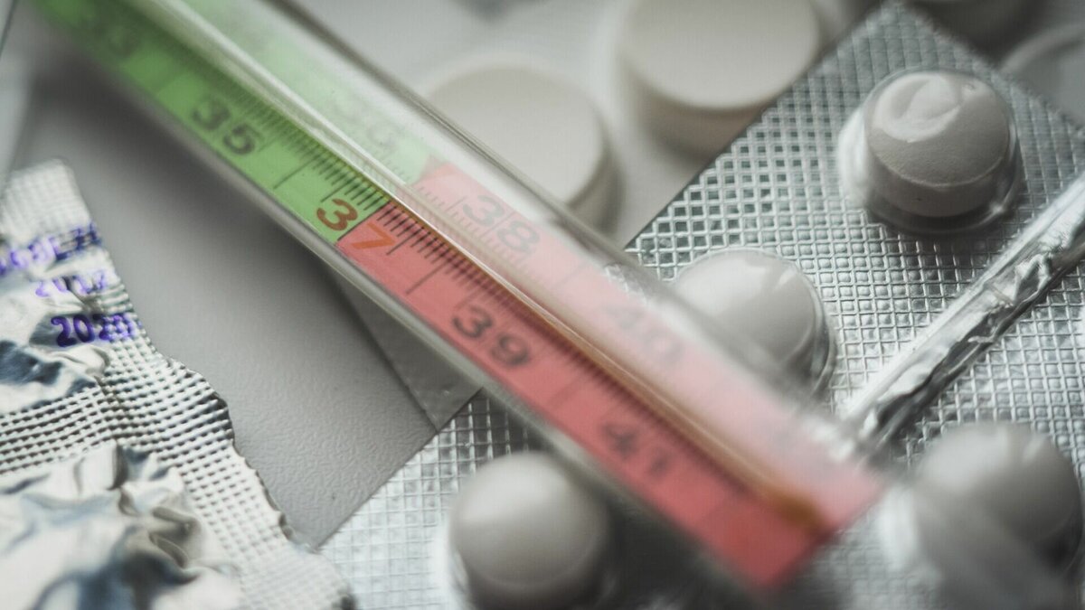     169 жителей Нижегородской области заразились вирусом гриппа А (H1N1 pdm09). Об этом сообщает пресс-служба регионального управления Роспотребнадзора.