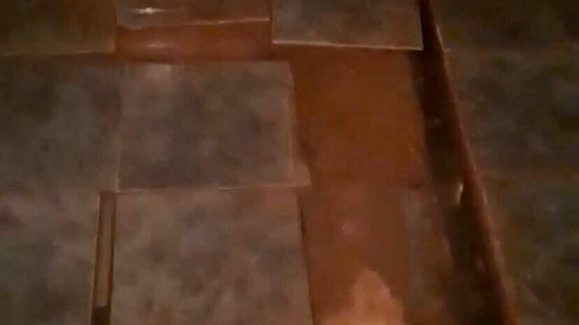     Нижнекамцы пожаловались на состояние душевой в общежитии местного педагогического колледжа. Постояльцы недовольны систематическим накапливанием воды на полу и распространившейся по нему плесенью.