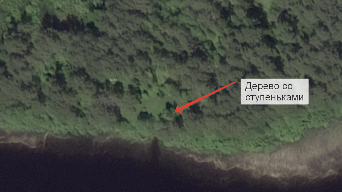 Вот так на карте выглядит место нашей высадки на Хачин. Даже дерево видно, на котором прибиты ступеньки-палки, чтоб можно было влезть наверх - обозреть окрестности.