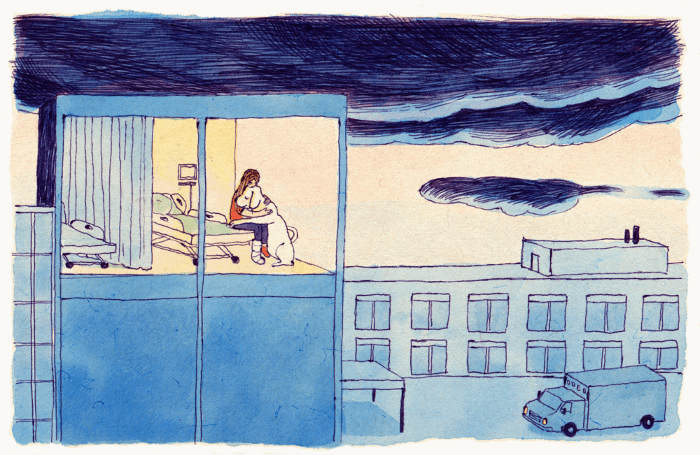 Источник: karlottafreier.com