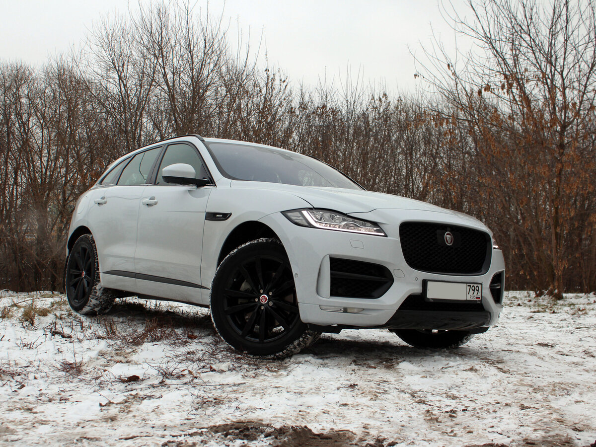 Jaguar F-Pace. Фото из архива CarExpert.ru