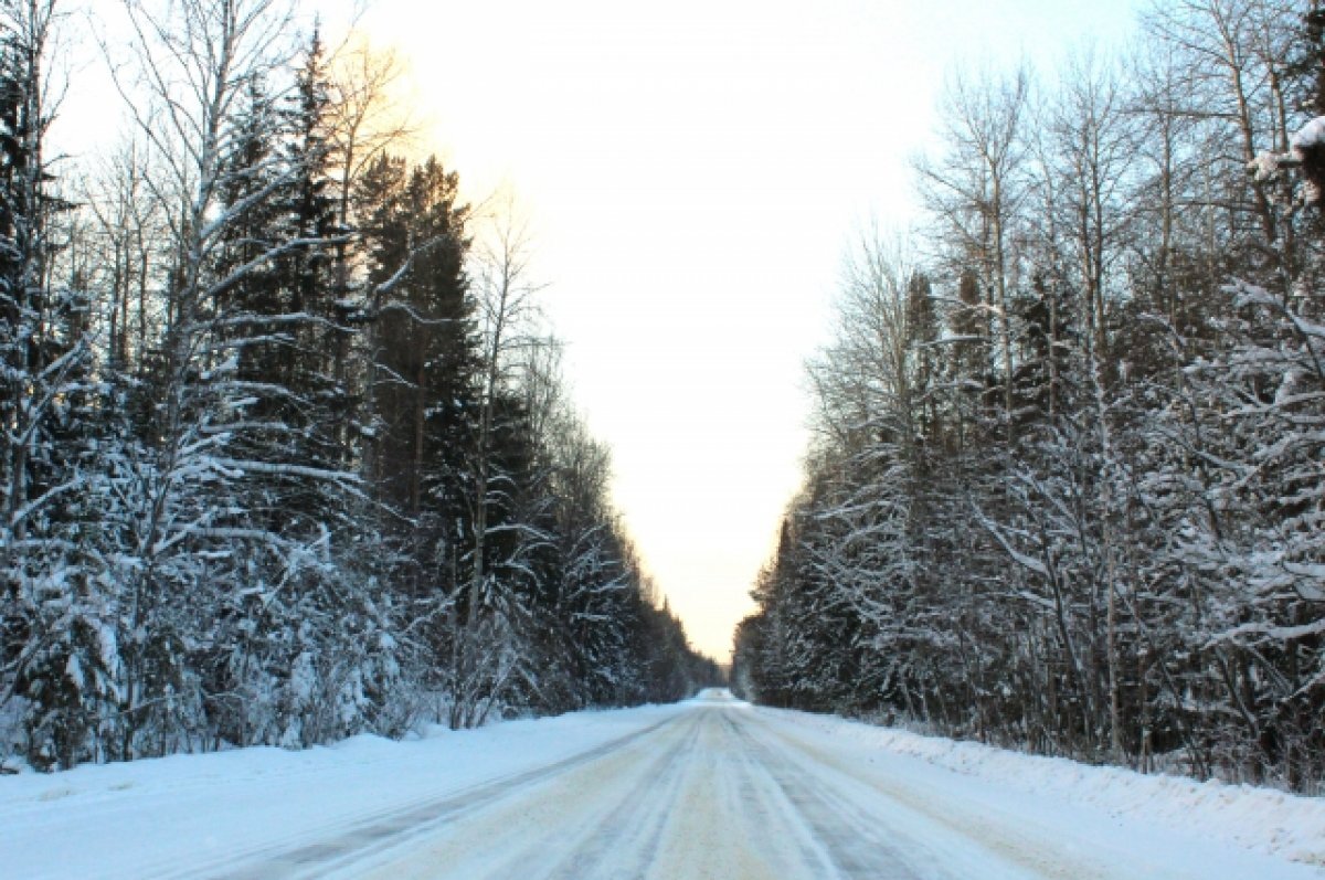    В Оренбуржье в выходные придет комфортная зимняя погода.